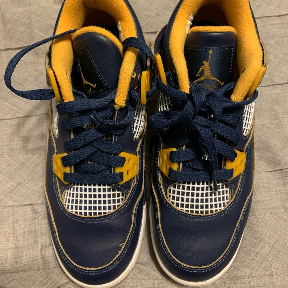 Jordan 4 Dunk From Above